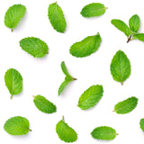 Airceuticals® Peppermint Organic Essential Oil Blend